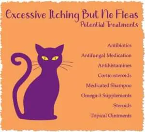 Excessive Itching No Fleas - Potential Treatments